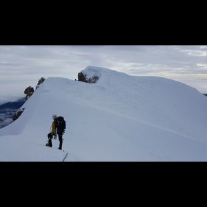 Meet your Posher, Tim